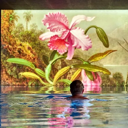 酒店 湖畔恩特纳酒店